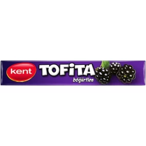 KENT TOFİTA BÖĞÜRTLEN